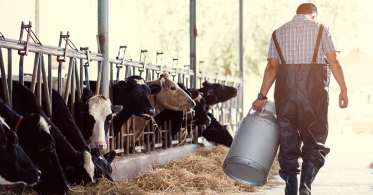 Read More - BOST INTRODUCES BILL HIGHLIGHTING FARMERS' MENTAL HEALTH NEEDS
