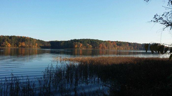 Read More - BOST DEMANDS TRANSPARENCY ON LITTLE GRASSY LAKE CLOSURE